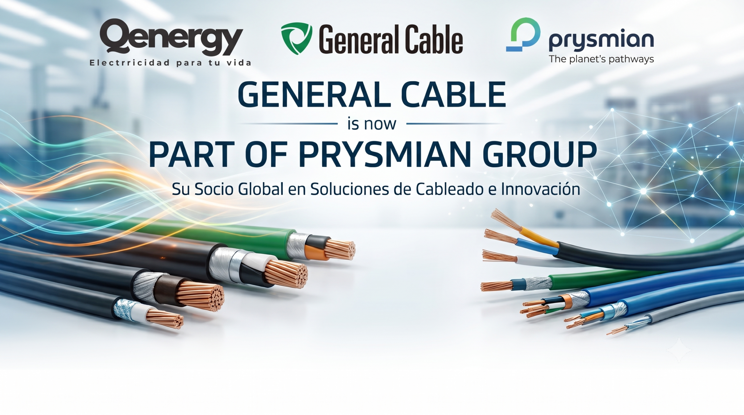 Distribuidor Autorizado Qenergy
